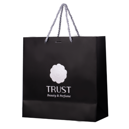 ساک‌دستی مشکی Trust Professional تراست پرو